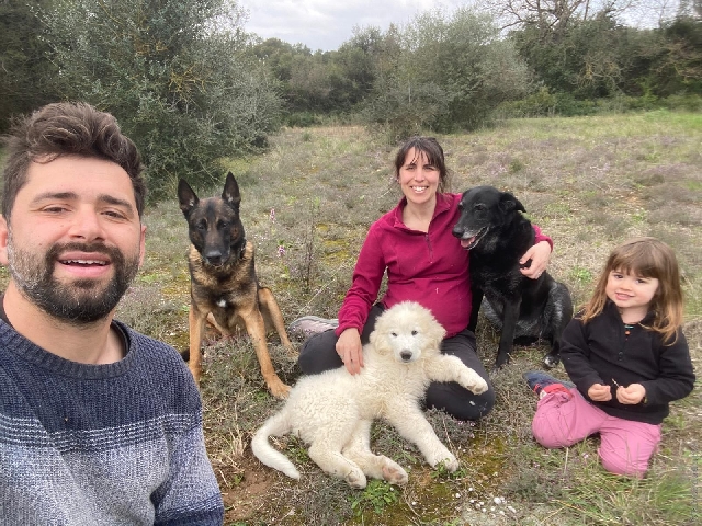 Perro de Montan�a del Pirineo