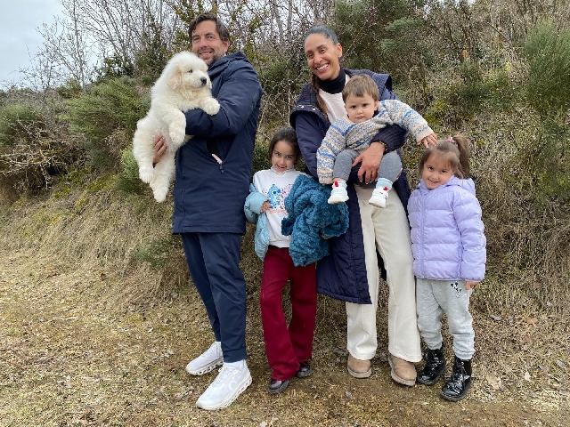 Perro de Montan�a del Pirineo