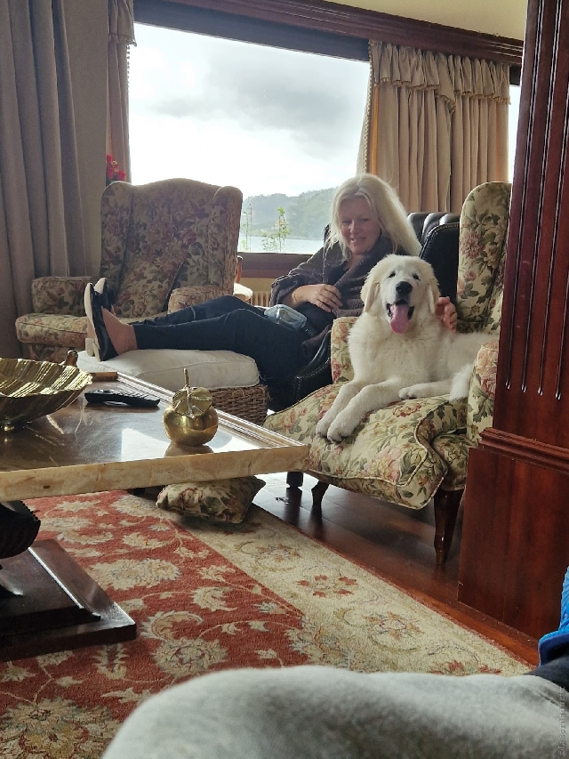 Perro de Montan�a del Pirineo