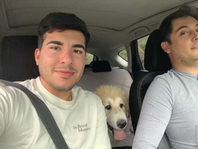 Perro de Montan�a del Pirineo