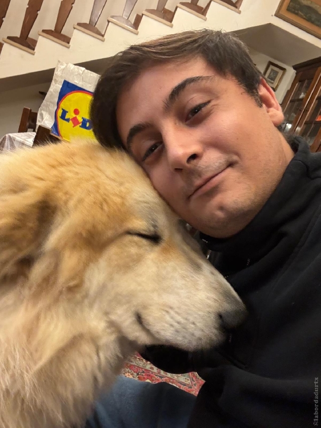 Perro de Montan�a del Pirineo